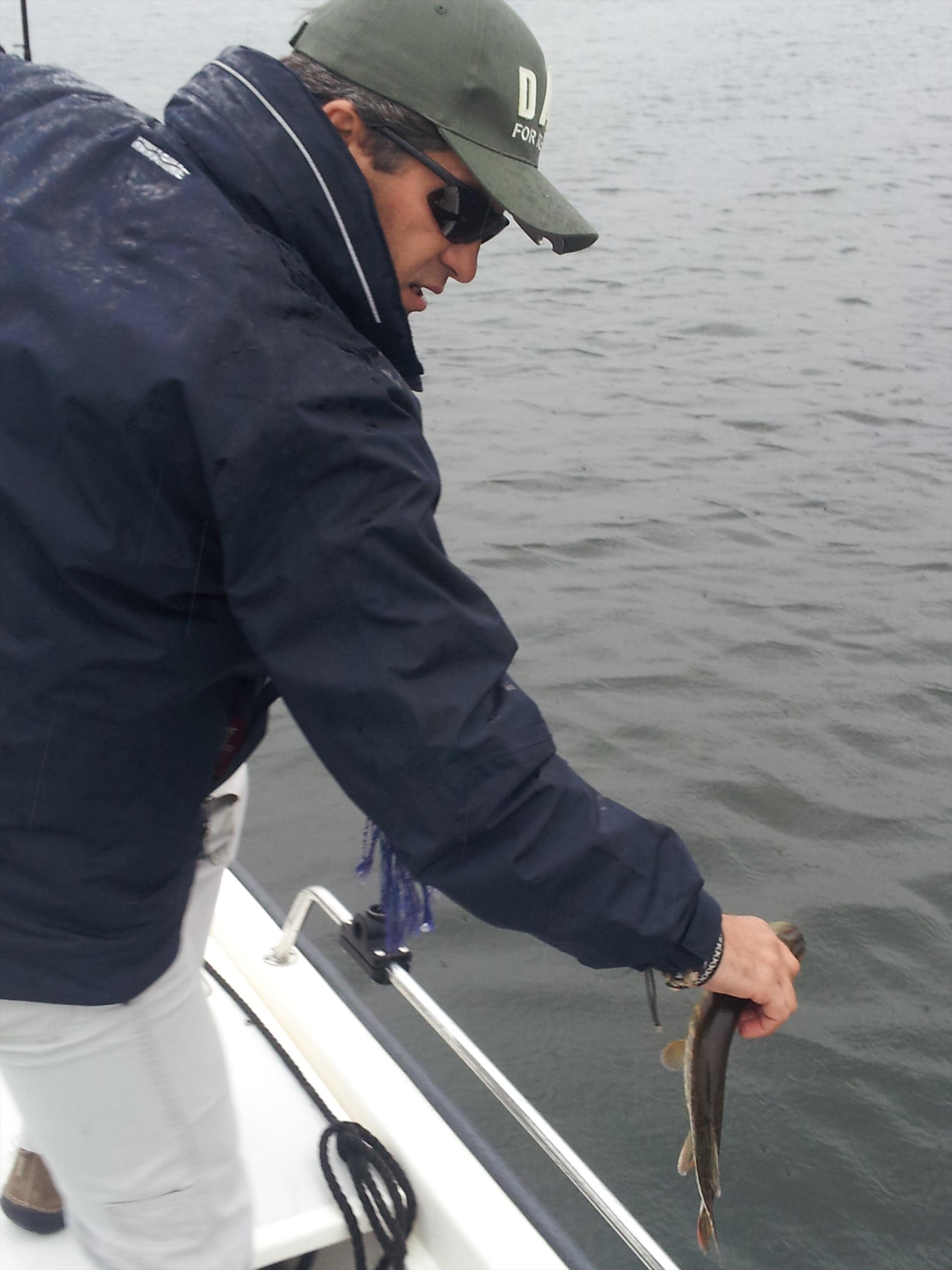 Stiucareala - 20130929115433.jpg